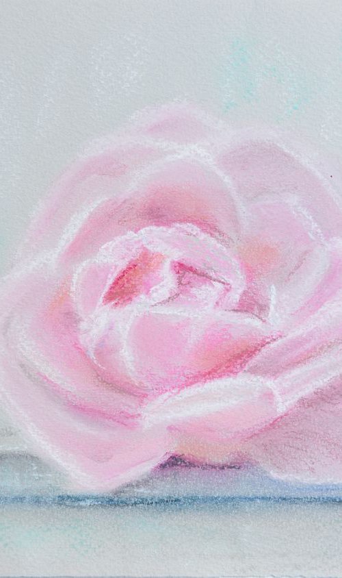 Pink Rose - Original Pastel Drawing by Monika Wisniewska Amaviael