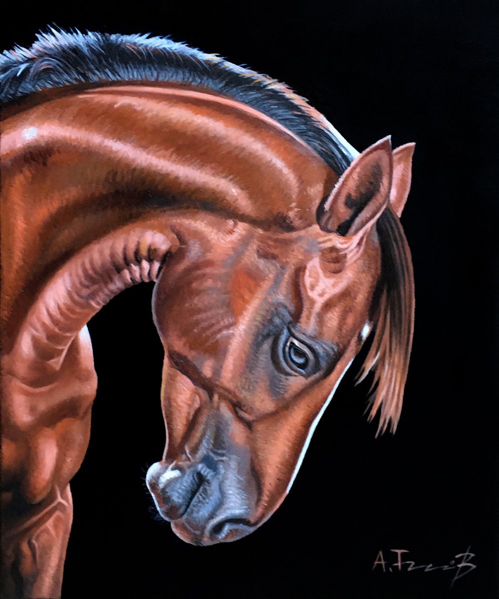Photorealistic Animal Oil Painting By Alexander Titorenkov, 10 X 12, Horse Head Iii, Original Artwork