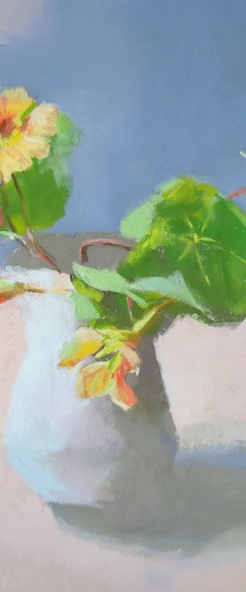 Nasturtium by Silja Salmistu