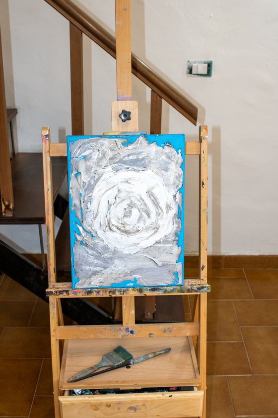 White Rose, Clouds