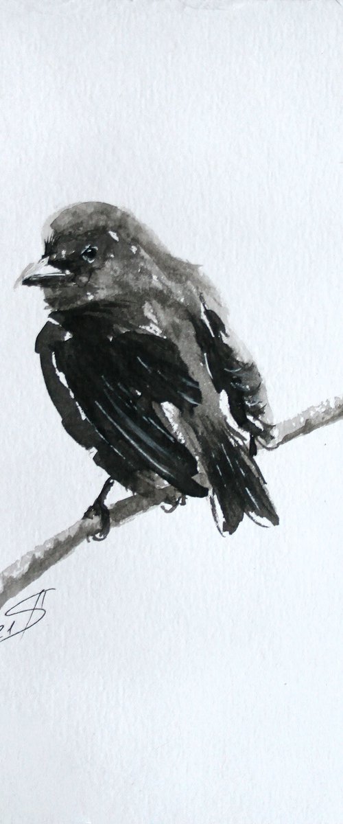 Bird III. Ink /  From my a series of mini works BIRDS /  ORIGINAL PAINTING by Salana Art