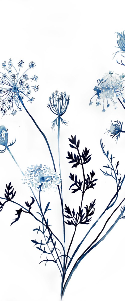 Queen Anne's Lace No. 14 by Elizabeth Becker