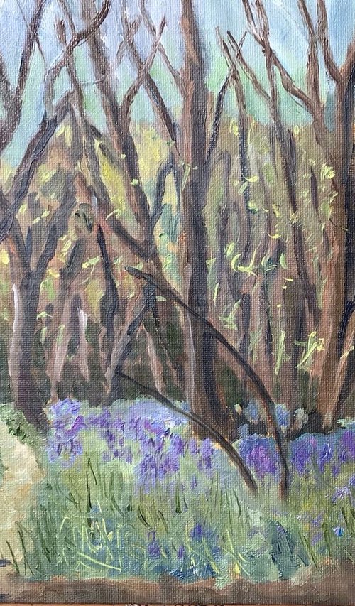 Bluebells in the woods. A delightful spring scene captured in oils. by Julian Lovegrove Art