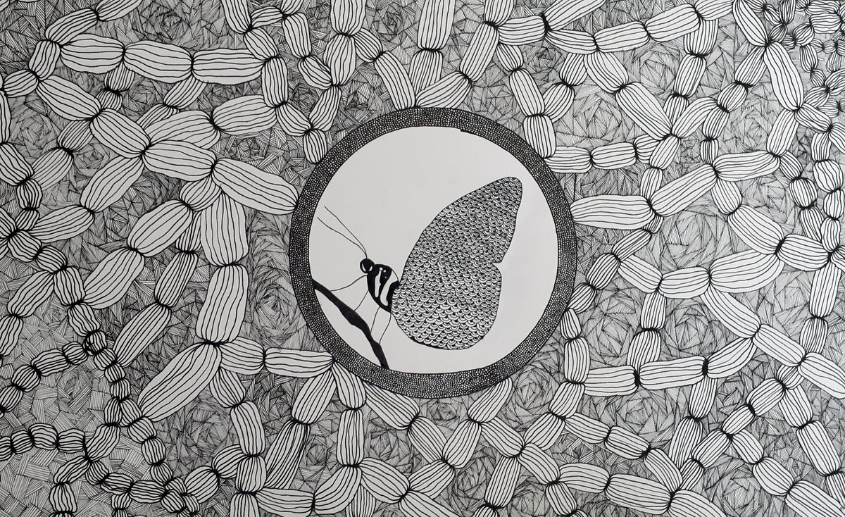 Illustrative Animal Ink Drawing By Terri Smith, 22 X 14", Diana