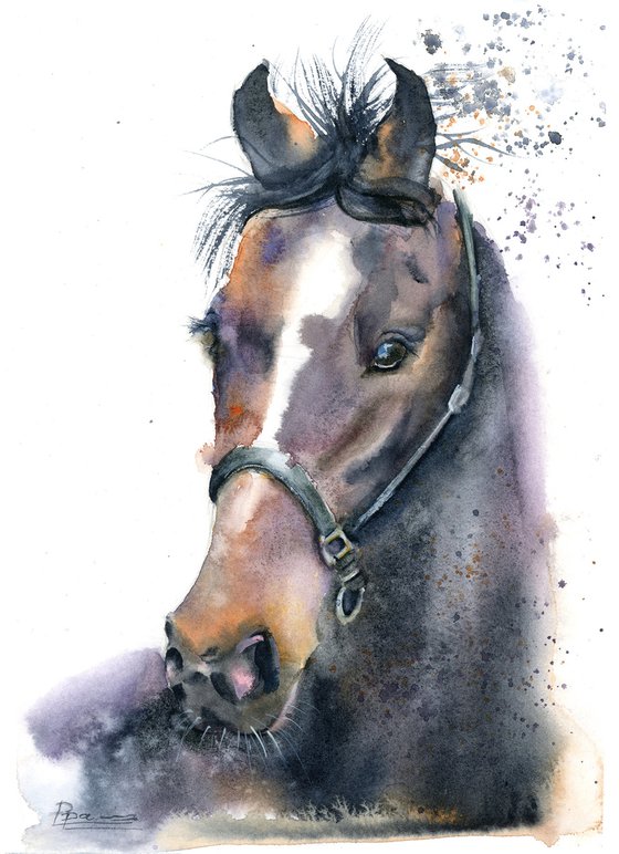 Horse portrait (2)