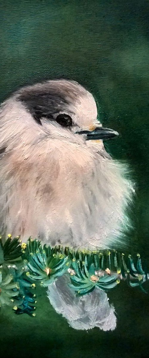 Bird by Viktória Déri