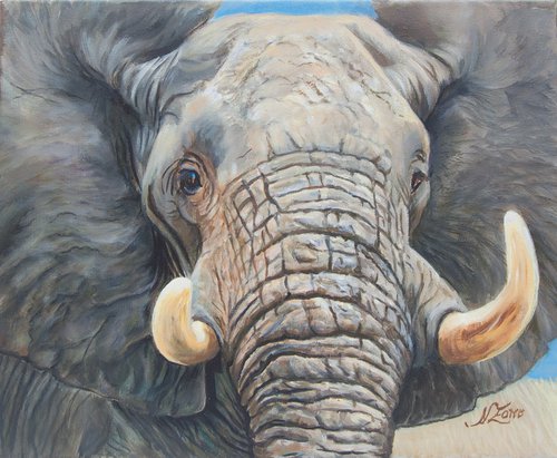 Elephant face by Norma Beatriz Zaro