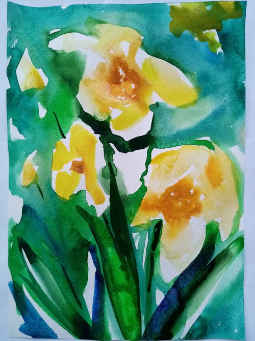 Tender daffodils by Oxana Raduga