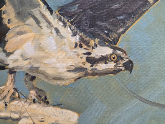 Vengeance Takes Flight