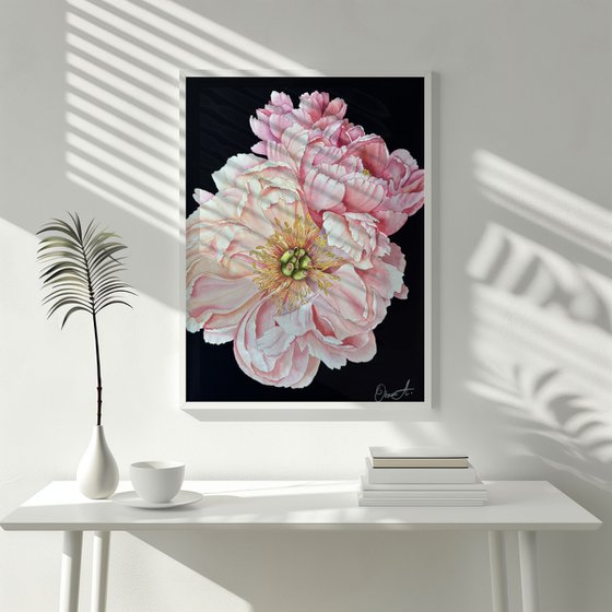 Whispering Peonies