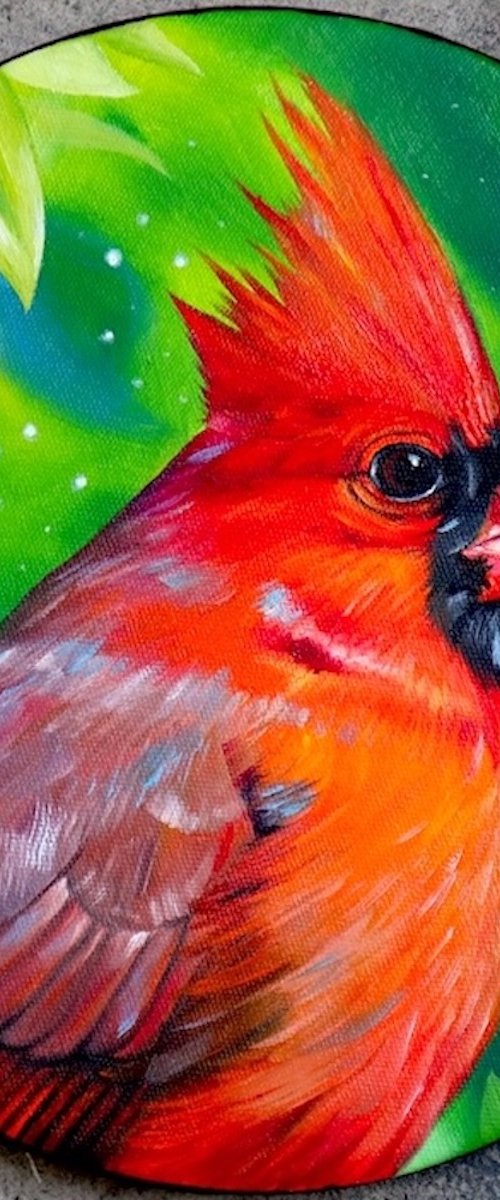 Cardinal by Amani Muhammad