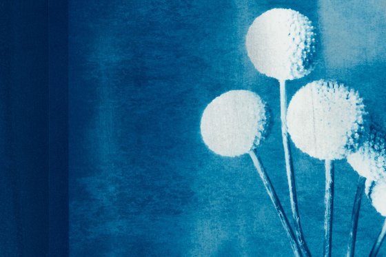 Flowerpower Cyanotype 2026
