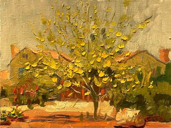 Plein Air Painting _ Las Vegas