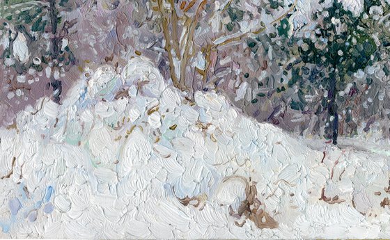 Snow-covered pine trees in Kuzminki Park