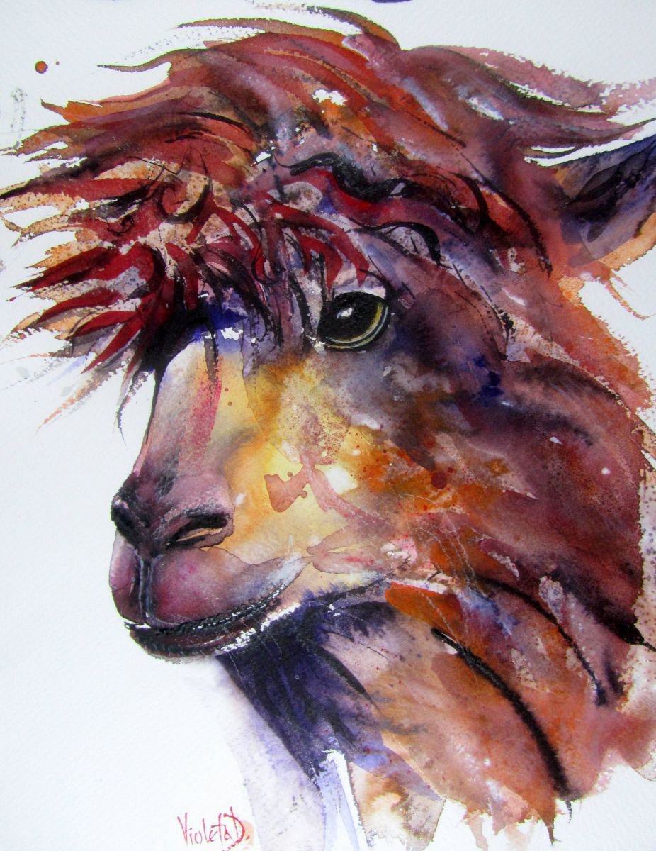 A Curious Alpaca by Violeta Damjanovic-Behrendt