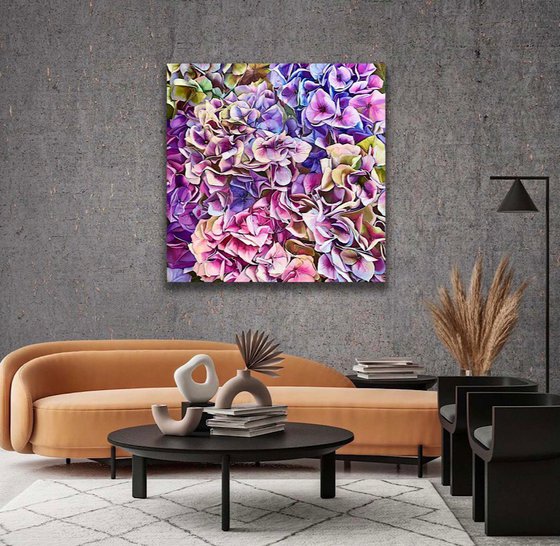 Awakening of the Hydrangea