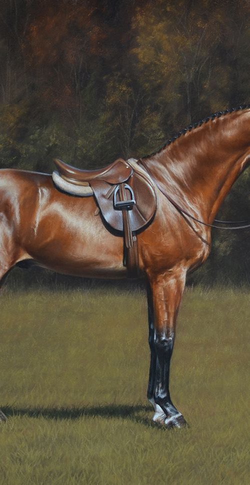 Chestnut stallion by Julia Dubinina