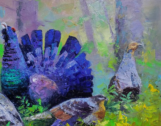 Black Grouse in the Summer Forest
