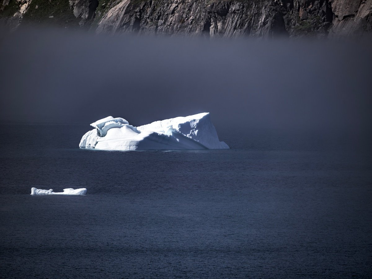 FOG COMING II by Fabio Accorri?