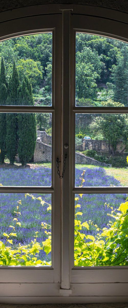 A WINDOW OF NATURE by Fabio Accorrà