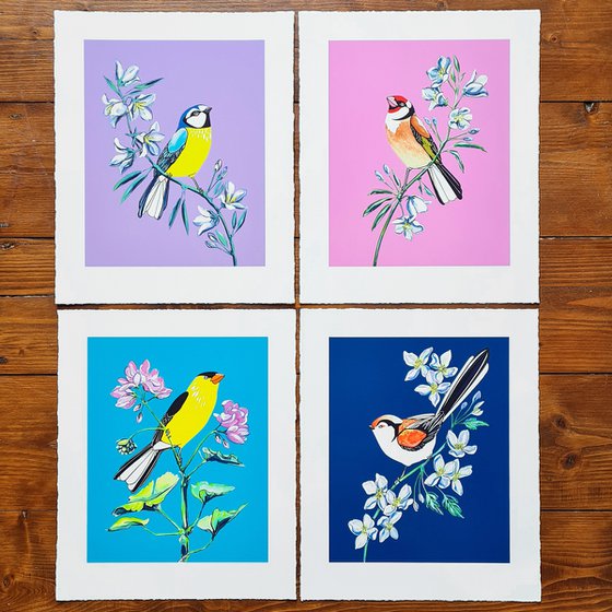 Blue Tit and Bellflower (print)