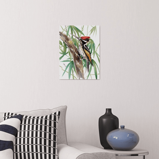 White Naped  Woodpecker, Original watercolor painting