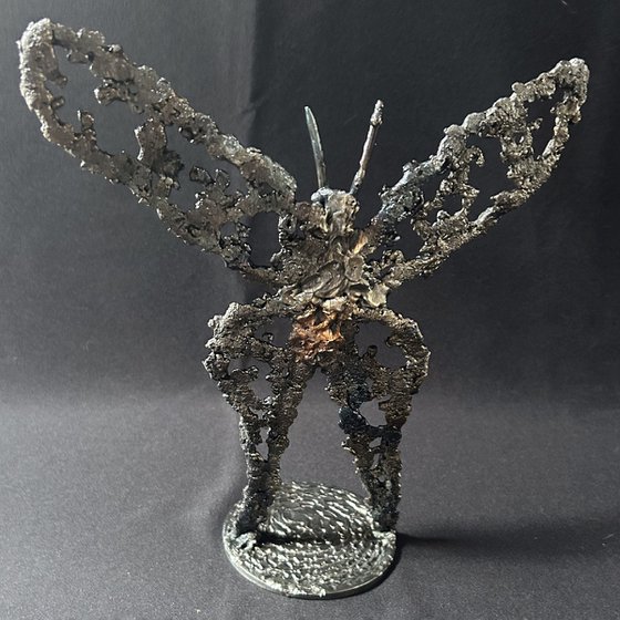 Butterfly 56-25