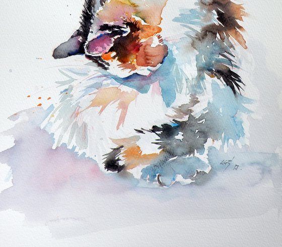 Beautify cat