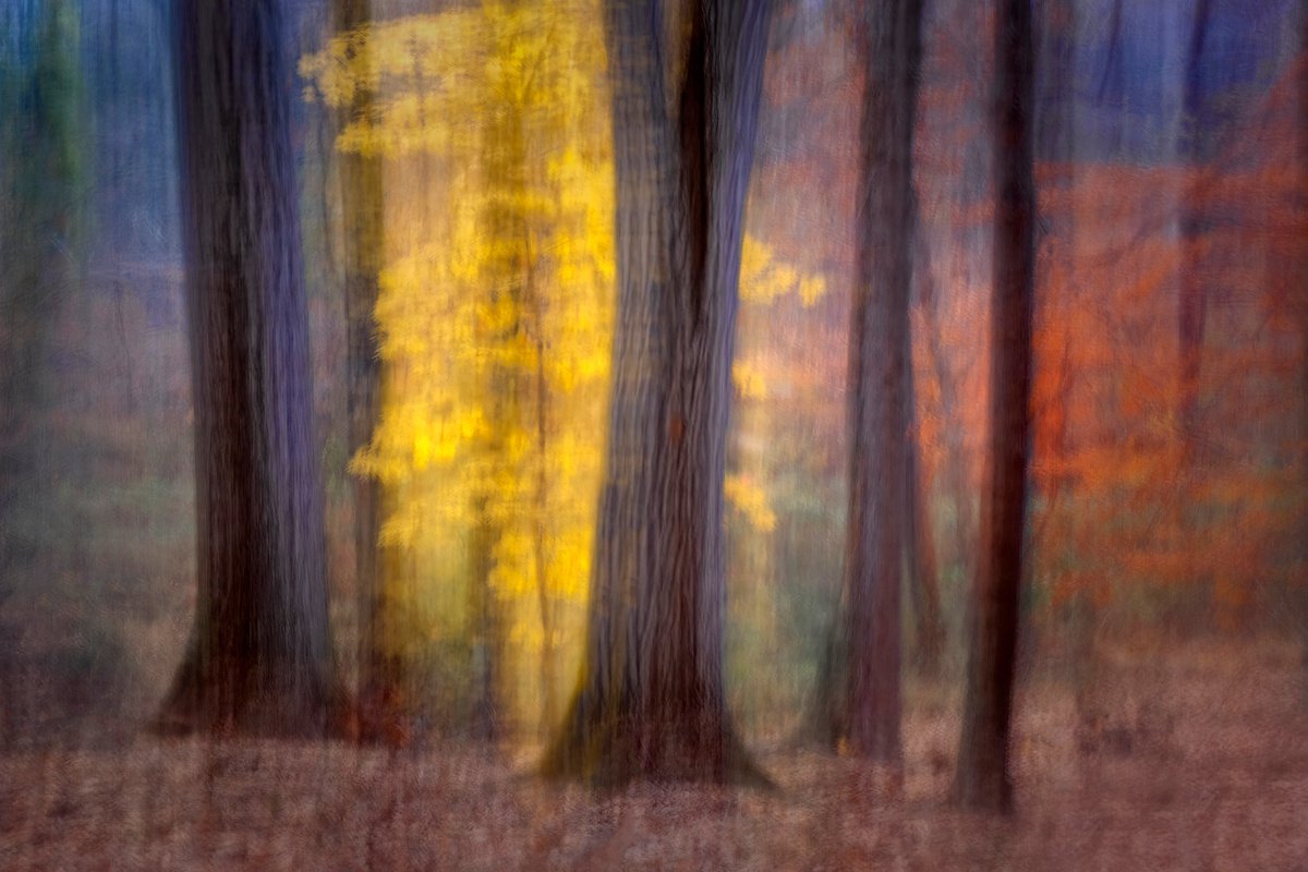 Last of Autumn by David DesRochers