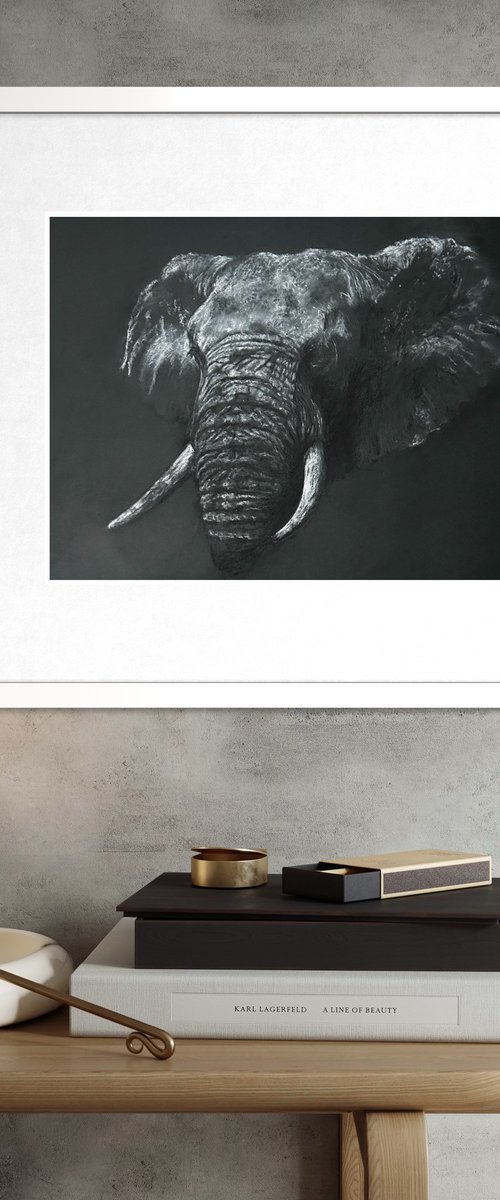 Presence by Paul Hardern