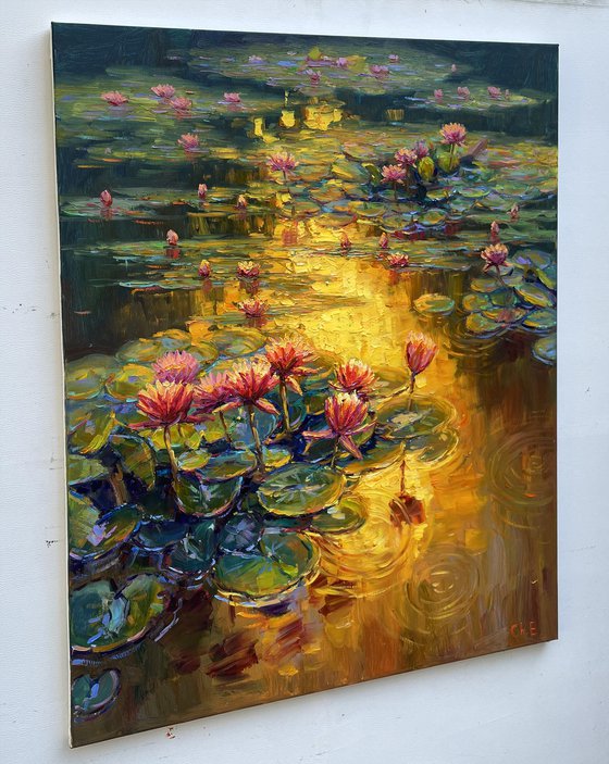 "Water lilies"