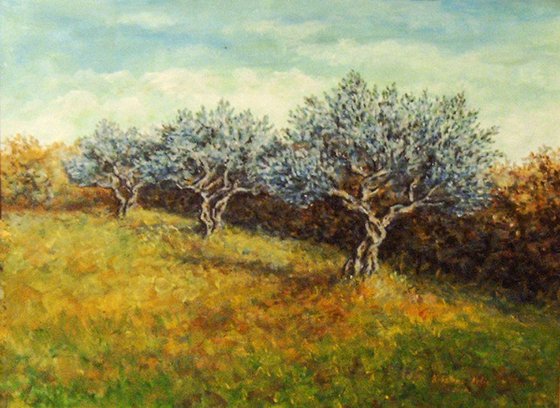 Olive trees