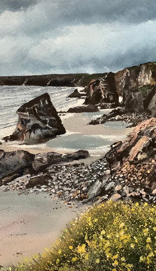 Cornish coast, Kynance Cove by Darren Carey