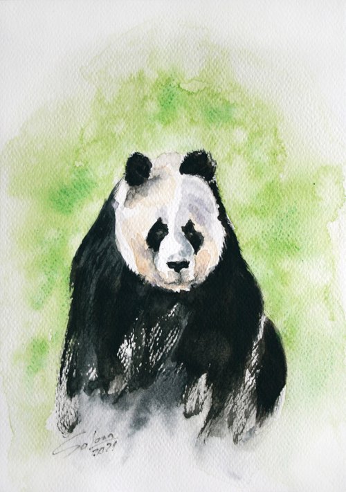 Panda I - Animal portrait /  ORIGINAL PAINTING by Salana Art Gallery