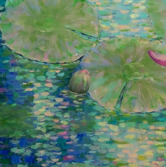 Garden of Light and Water Lilies.