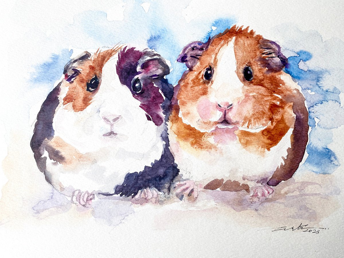 Guinea Pigs Jerry and Jo by Arti Chauhan