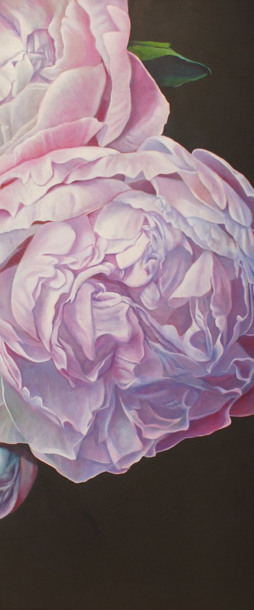 Close to You by Sandra Michele Knight