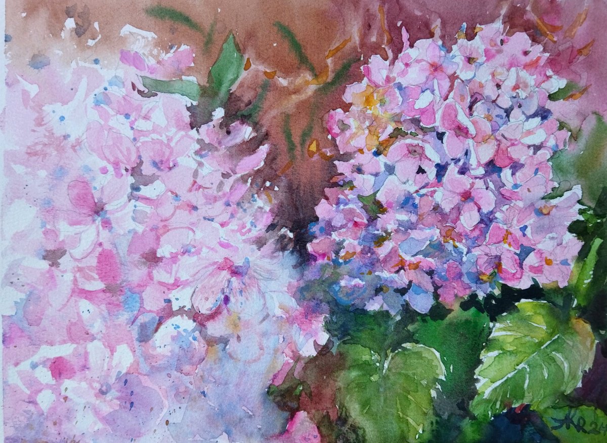 Impressionistic Botanical Watercolour By Ann Krasikova, 12 X 9, Hydrangeas Blossom, Original Artwork