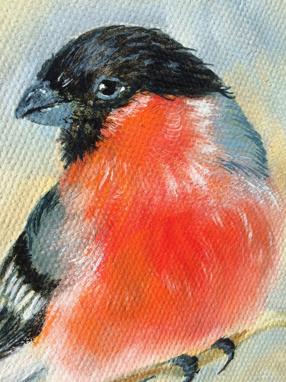 Bird portrait - Bullfinch small round canvas - Christmas gift for bird lover