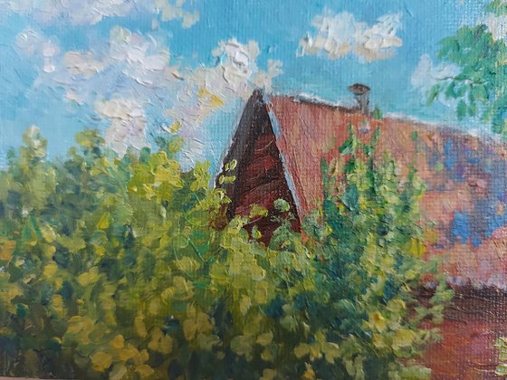 July. Late Afternoon