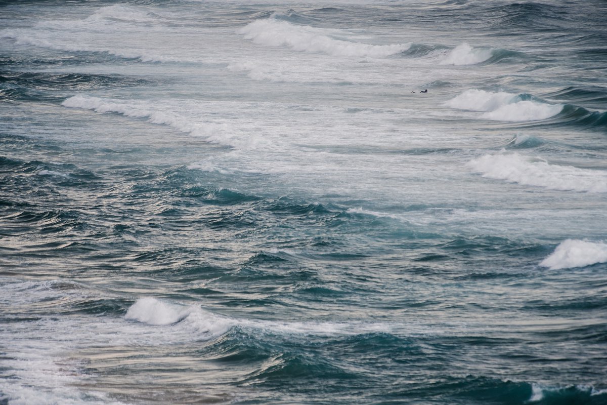 Photograph , Winter Surfing Vi By Tal Paz-Fridman, 40 X 28, Artwork For Sale On Artfinder