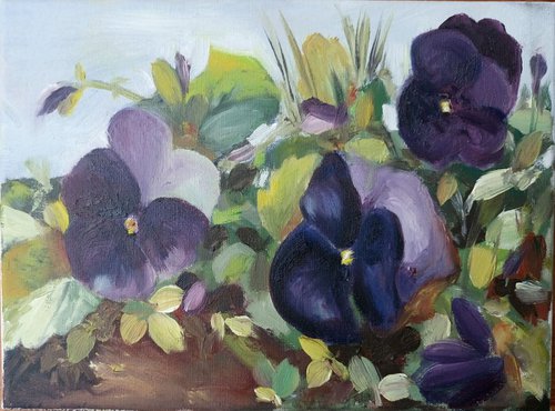 Violas by Mag Verkhovets