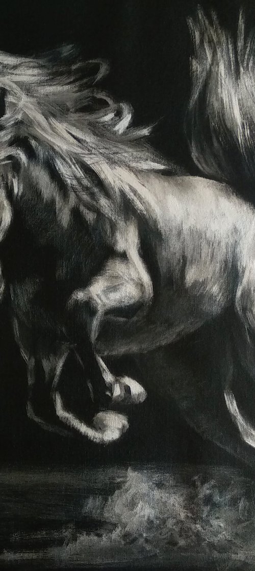 Equine Art Black Horse by Anastasia Art Line