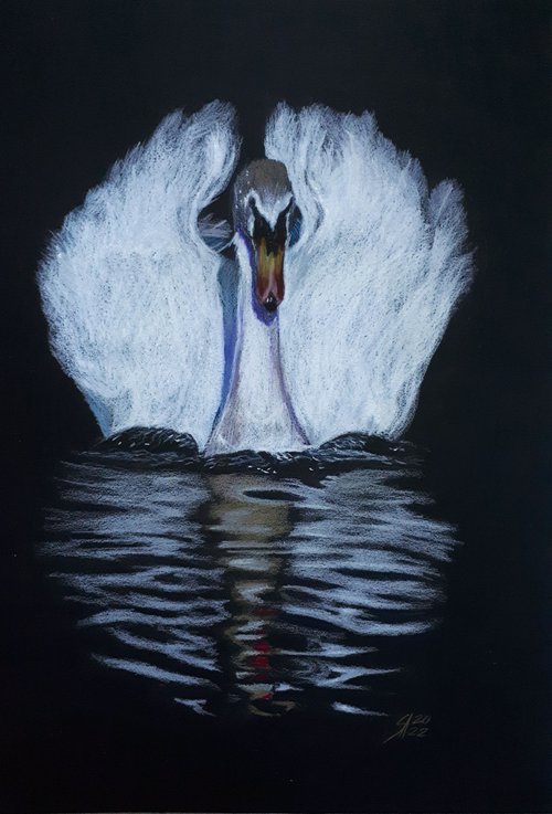 Swan / ORIGINAL DRAWING by Salana Art Gallery