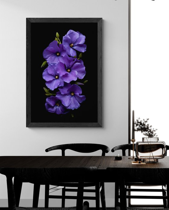 Purple Hibiscus Flowers