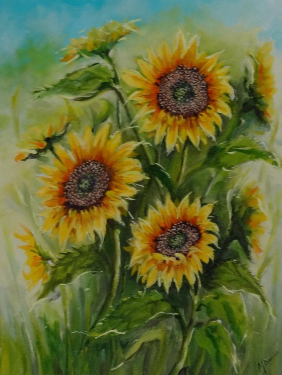 A Sunflower Day