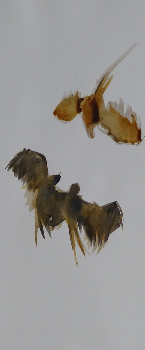 The Flying Birds 2, 29x41 cm by Frederic Belaubre