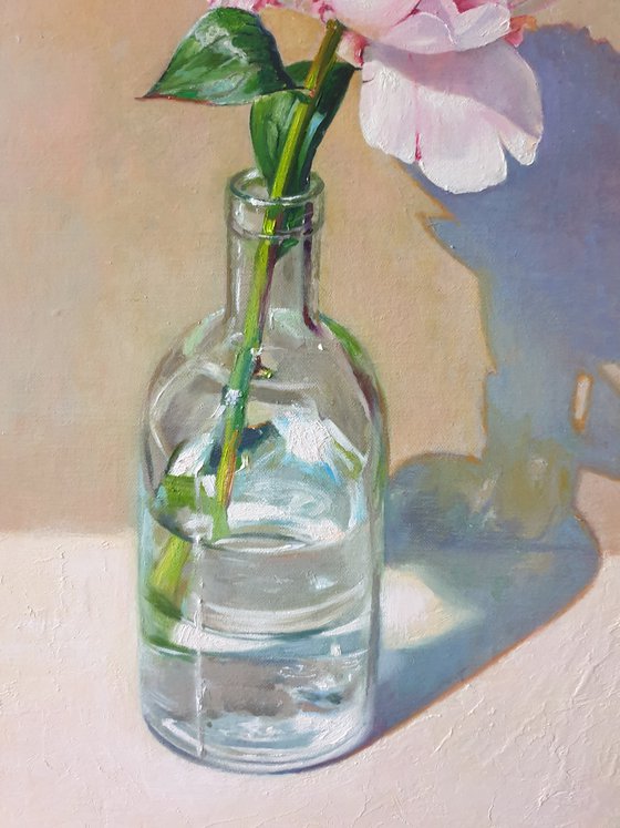 "Morning peony." still life peony pink summer  white liGHt original painting  GIFT (2020)