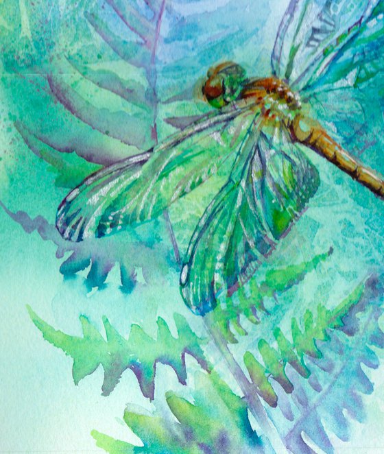 Dragonfly, original watercolour painting