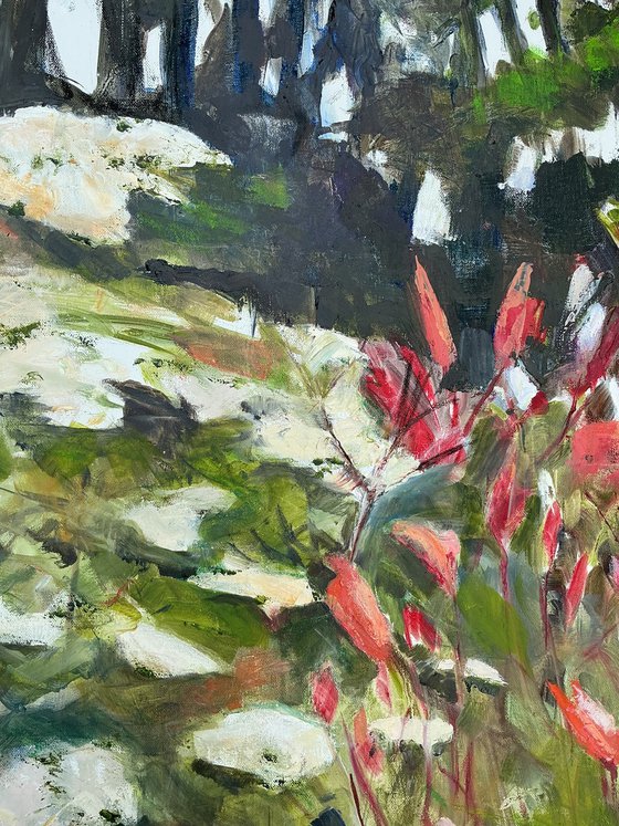 Elder & Photinia